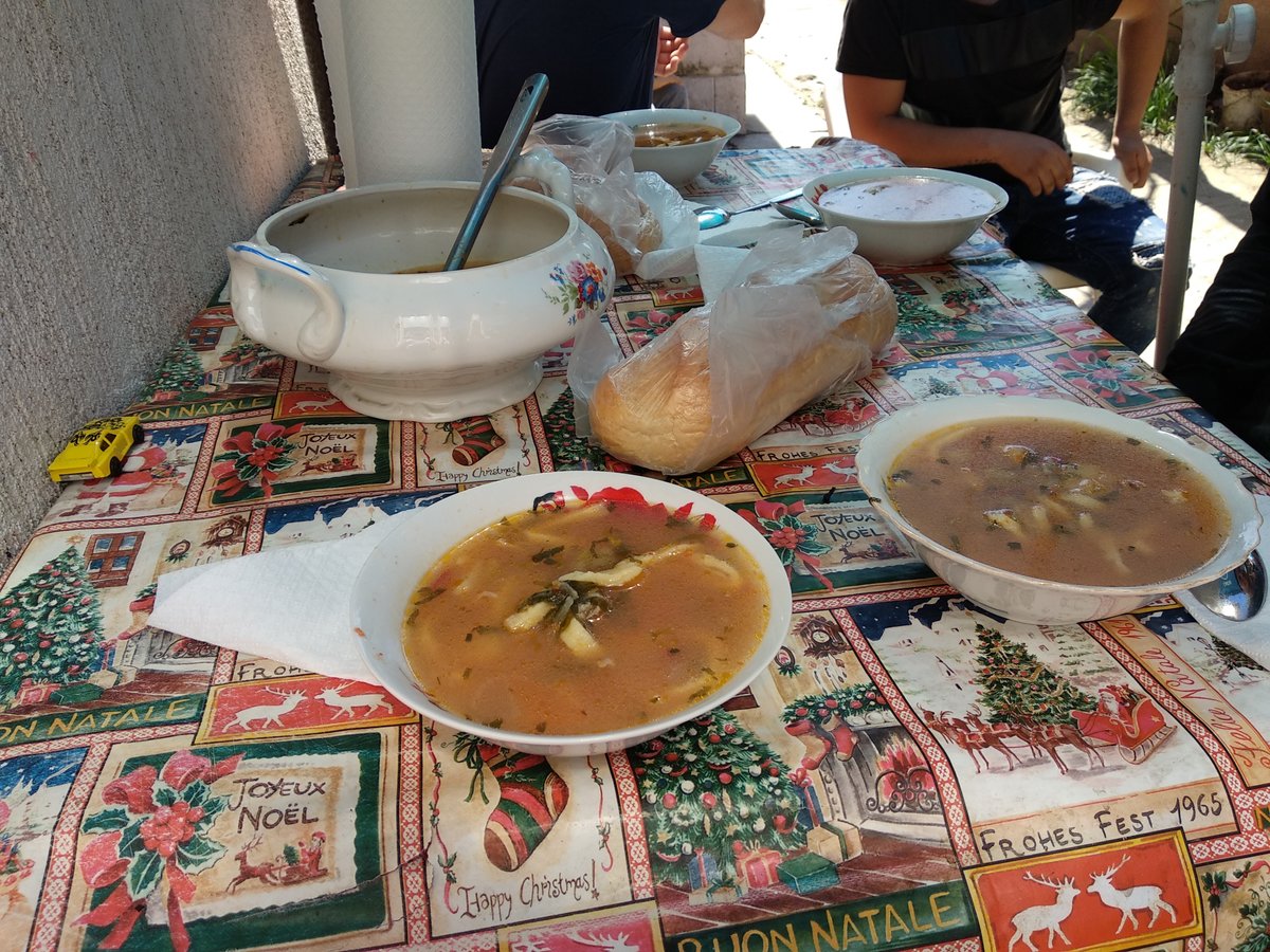 Some chicken and vegetables soup made by a romanian mother
