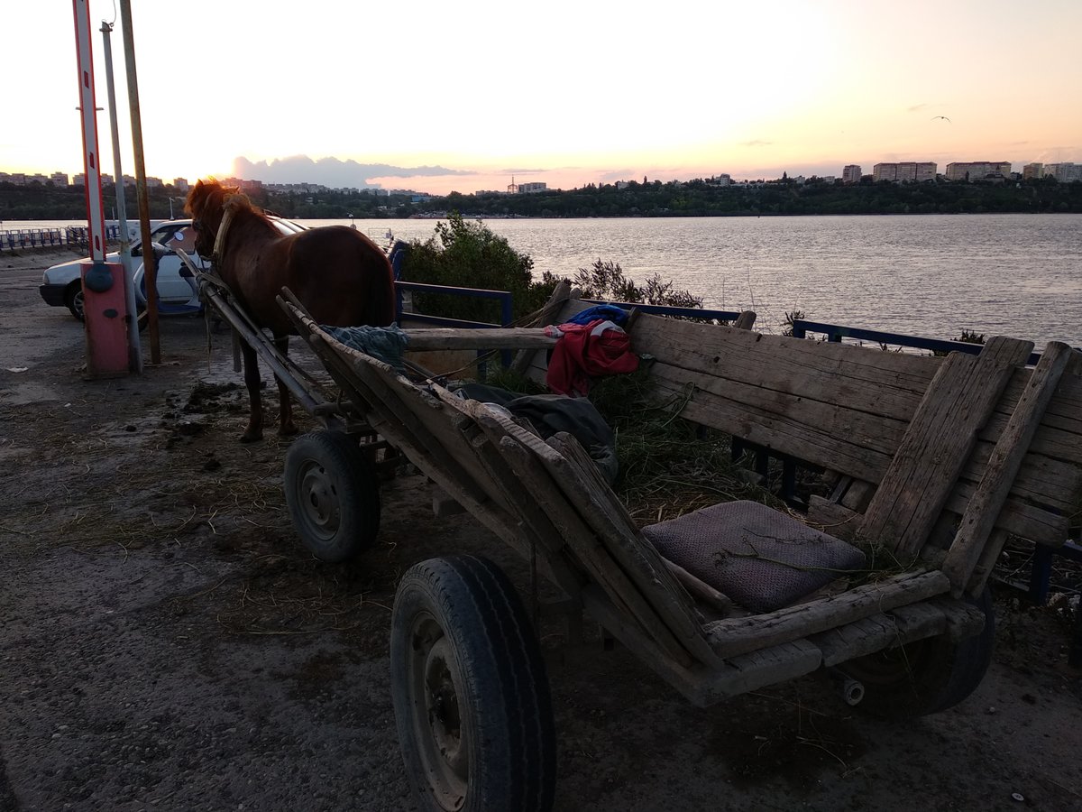 Another carriage, the most far you are from a city, the more you see
