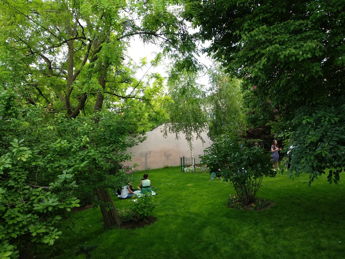 The older Intel's building garden
